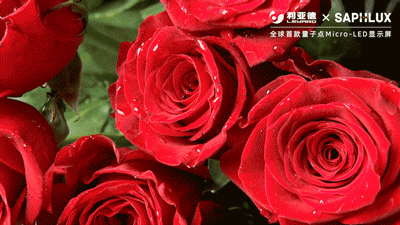 问鼎娱乐app(中国)官网下载入口