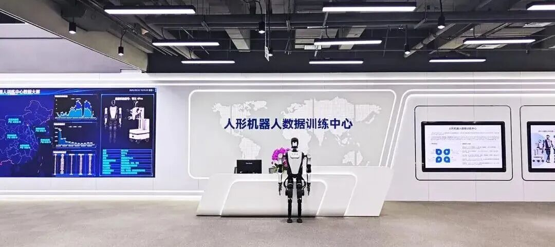 问鼎娱乐app2025“年终答卷”：稳中有进，质效双升